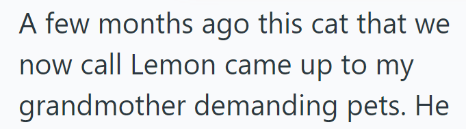 A few months ago this cat that we now call Lemon came up to my grandmother demanding pets. He