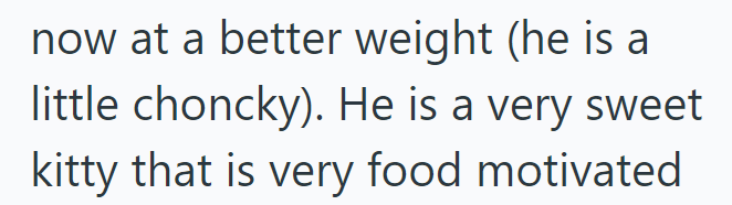 now at a better weight (he is a little choncky). He is a very sweet kitty that is very food motivated