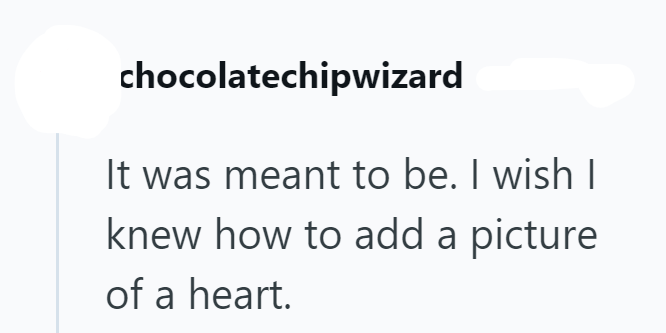 chocolatechipwizard It was meant to be. I wish I knew how to add a picture of a heart.