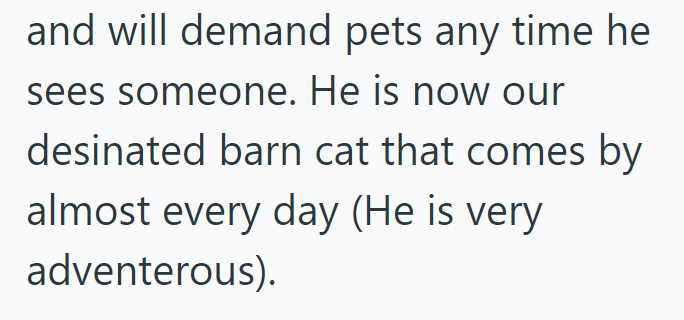 and will demand pets any time he sees someone. He is now our desinated barn cat that comes by almost every day (He is very adventerous).