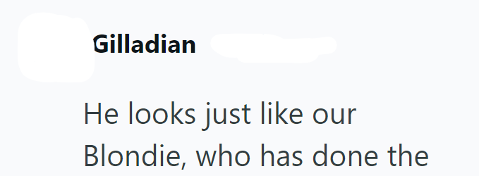 Gilladian He looks just like our Blondie, who has done the