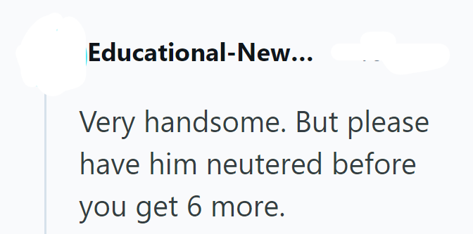 Educational-New... Very handsome. But please have him neutered before you get 6 more.