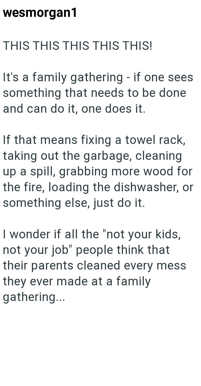 wesmorgan1 THIS THIS THIS THIS THIS! It's a family gathering - if one sees something that needs to be done and can do it, one does it. If that means fixing a towel rack, taking out the garbage, cleaning up a spill, grabbing more wood for the fire, loading the dishwasher, or something else, just do it. I wonder if all the "not your kids, not your job" people think that their parents cleaned every mess they ever made at a family gathering...