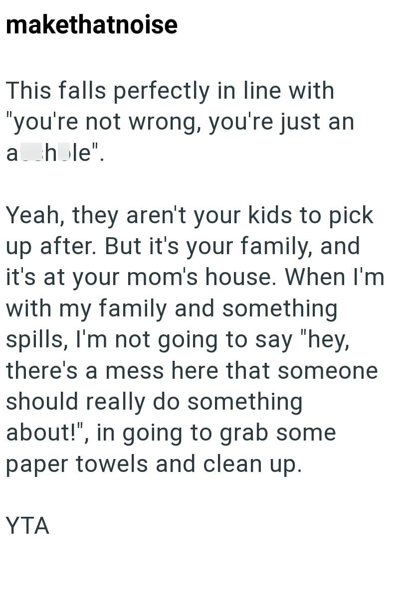 makethatnoise This falls perfectly in line with "you're not wrong, you're just an a hole". Yeah, they aren't your kids to pick up after. But it's your family, and it's at your mom's house. When I'm with my family and something spills, I'm not going to say "hey, there's a mess here that someone should really do something about!", in going to grab some paper towels and clean up. YTA