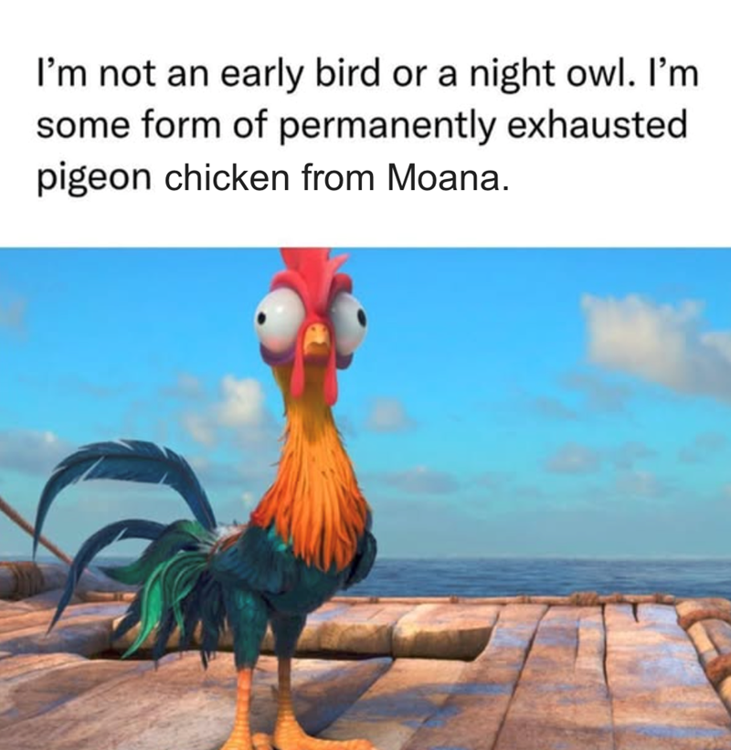 I'm not an early bird or a night owl. I'm some form of permanently exhausted pigeon chicken from Moana.