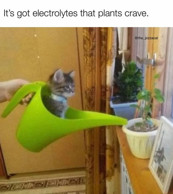 It's got electrolytes that plants crave. @the_pizzacat
