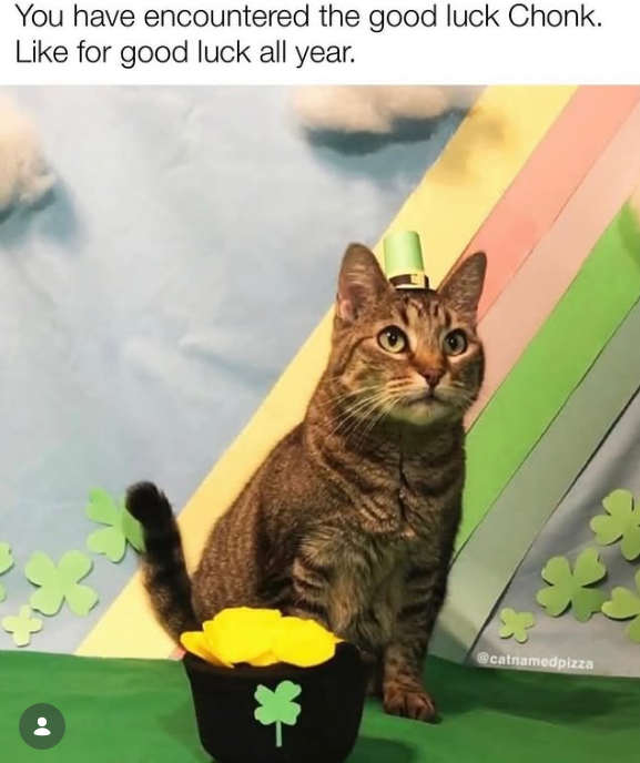 You have encountered the good luck Chonk. Like for good luck all year. @catnamedpizza