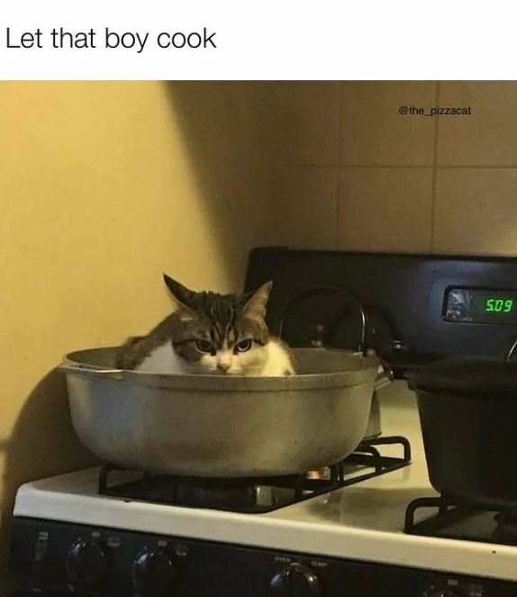 Let that boy cook B @the_pizzacat 5.09