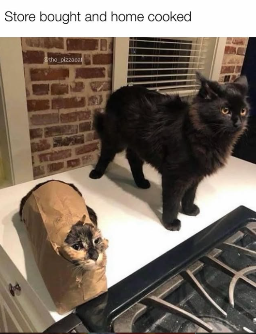 Store bought and home cooked @the_pizzacat