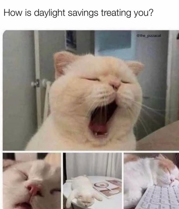 How is daylight savings treating you? @the_pizzacat