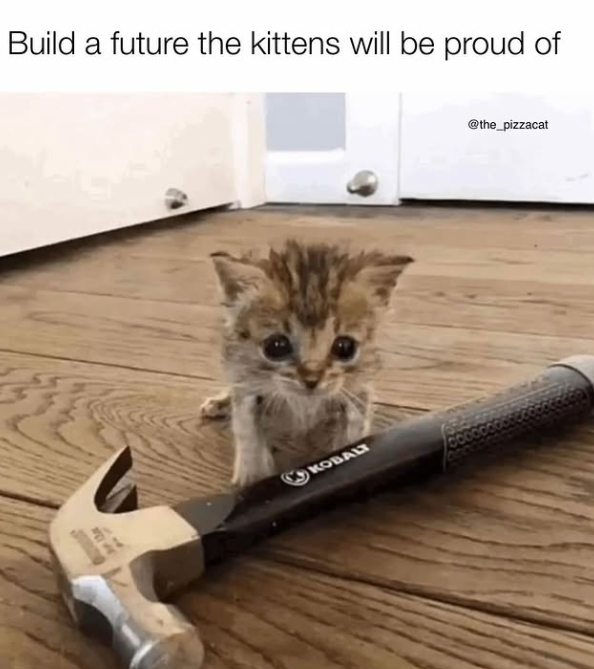 Build a future the kittens will be proud of KOBALT @the_pizzacat