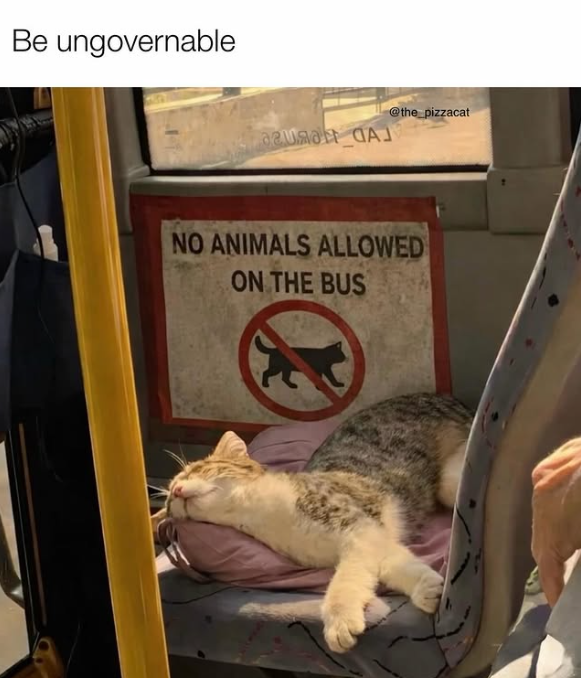 Be ungovernable azurat AJ @the_pizzacat NO ANIMALS ALLOWED ON THE BUS
