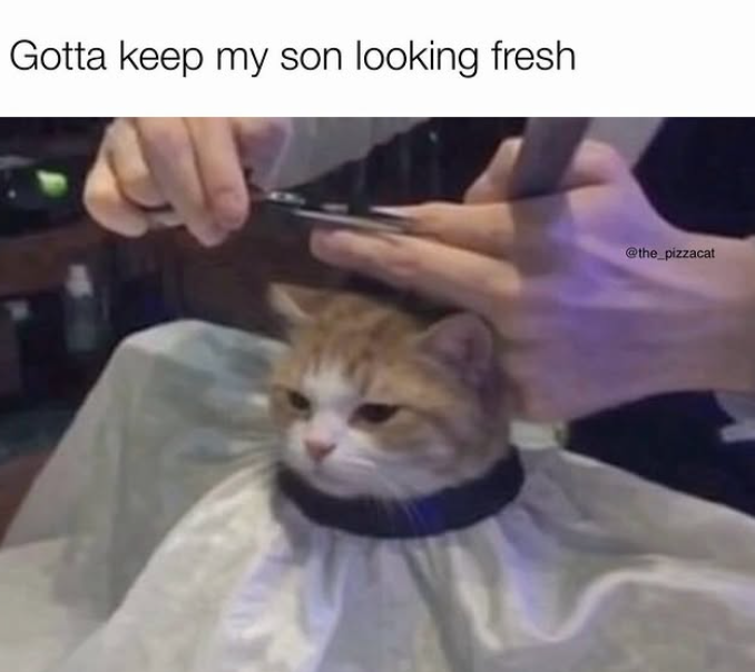 Gotta keep my son looking fresh @the_pizzacat