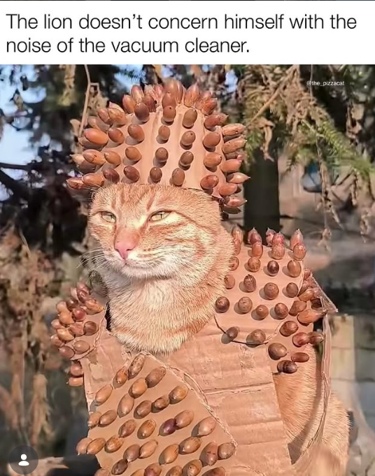The lion doesn't concern himself with the noise of the vacuum cleaner. the pizzacat
