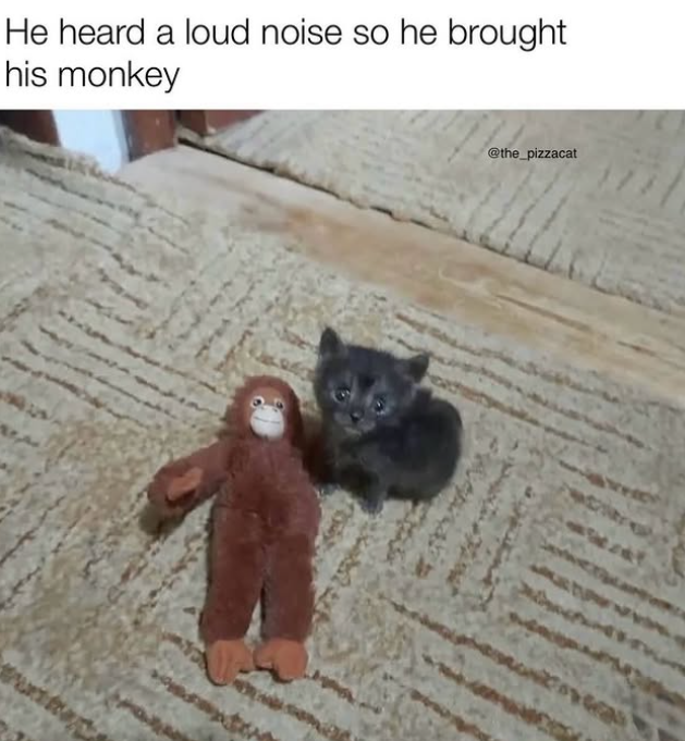 He heard a loud noise so he brought his monkey @the_pizzacat