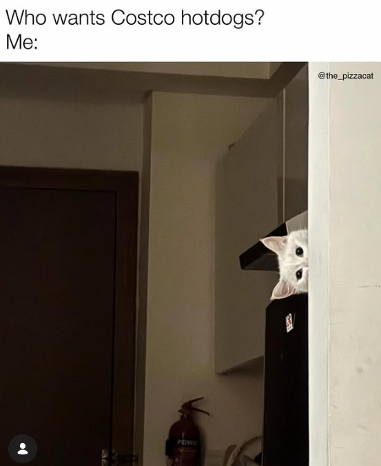 Who wants Costco hotdogs? Me: 32 @the_pizzacat POW