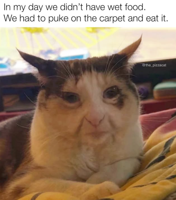 In my day we didn't have wet food. We had to puke on the carpet and eat it. @the_pizzacat