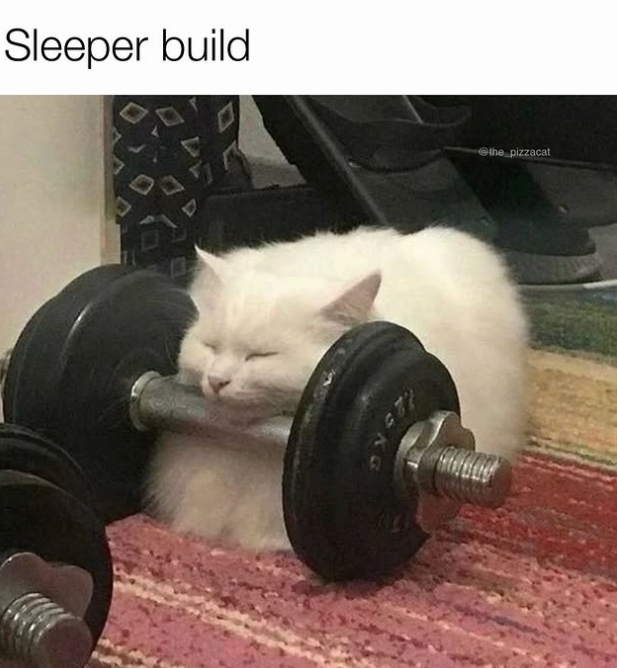 Sleeper build 71 the pizzacat