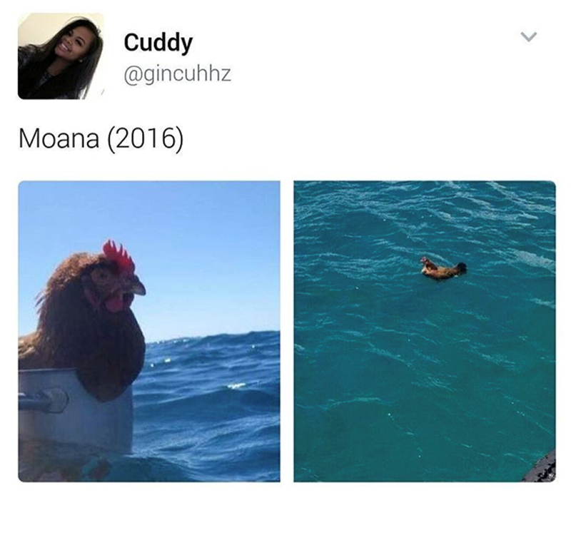 Cuddy @gincuhhz Moana (2016)