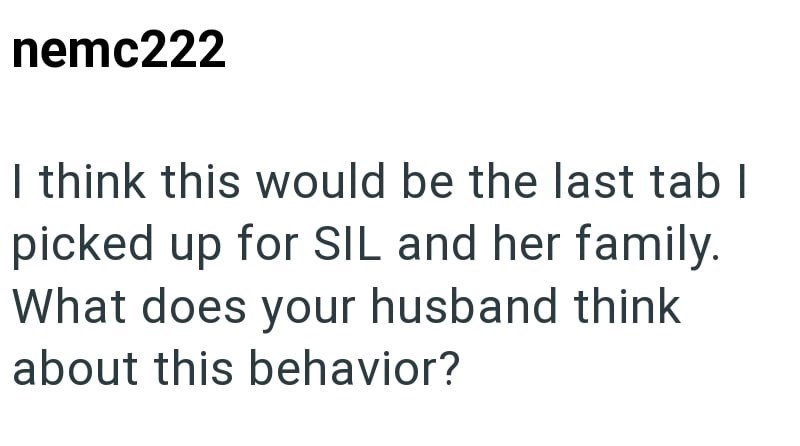 nemc222 I think this would be the last tab I picked up for SIL and her family. What does your husband think about this behavior?