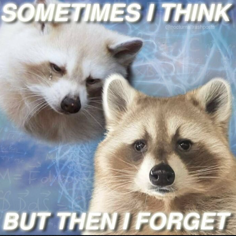 SOMETIMES I THINK @nocturnaltrashposts wh rme M= Fox BUT THEN FORGET