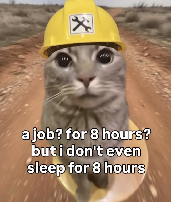 a job? for 8 hours? but i don't even sleep for 8 hours