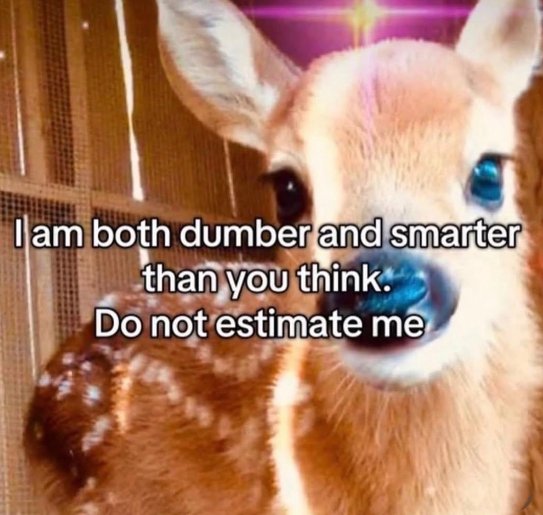 I am both dumber and smarter than you think. Do not estimate me