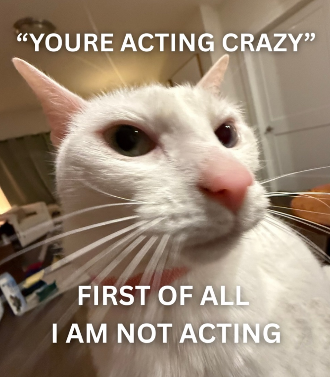 "YOURE ACTING CRAZY" FIRST OF ALL I AM NOT ACTING