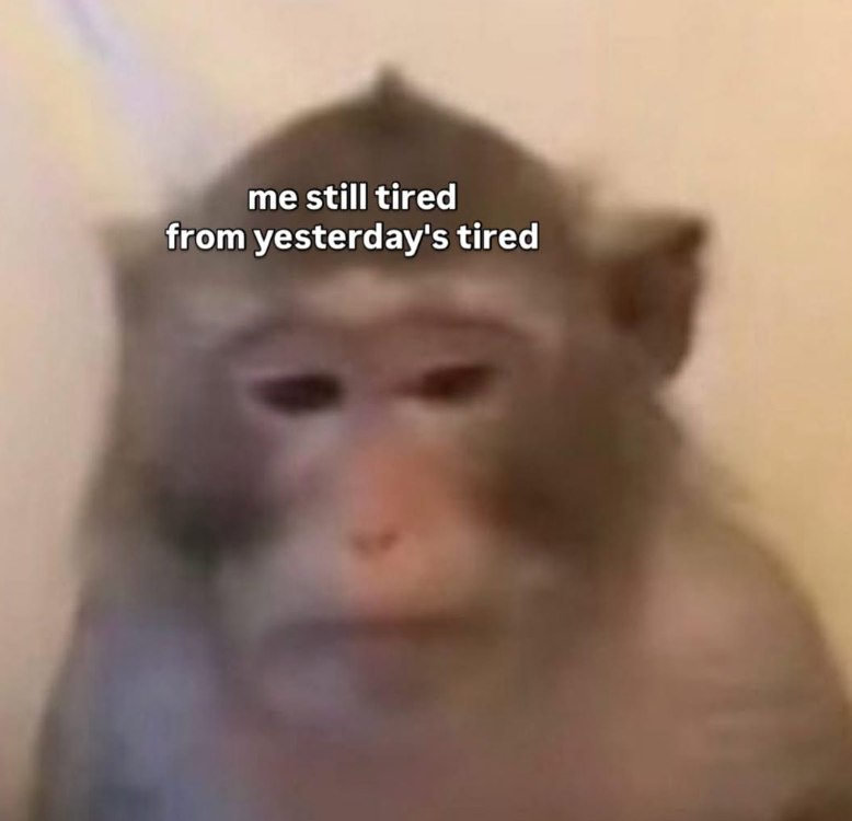 me still tired from yesterday's tired