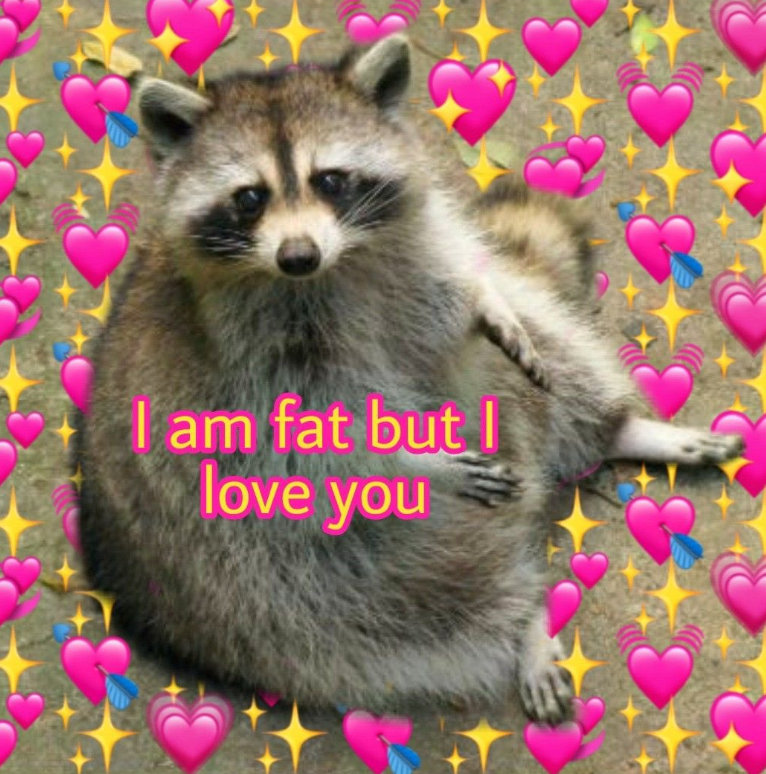 I am fat but I love you