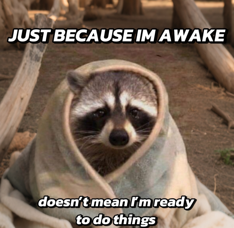 JUST BECAUSE IM AWAKE doesn't mean I'm ready to do things