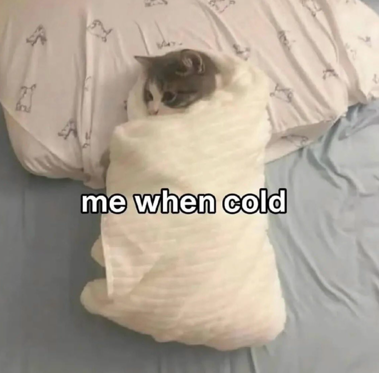 ཏ me when cold