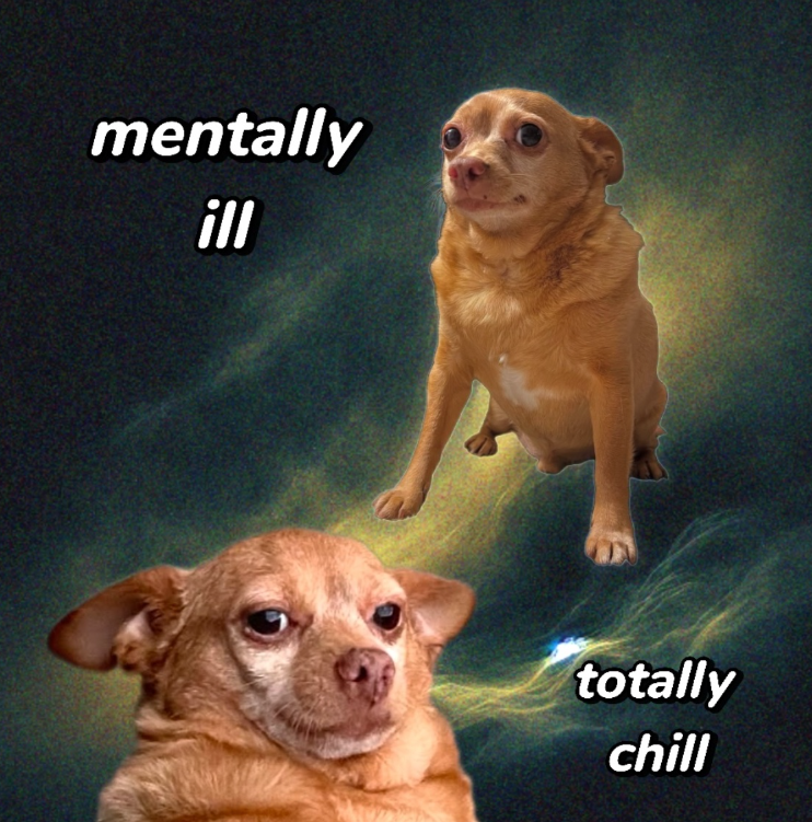 mentally ill totally chill