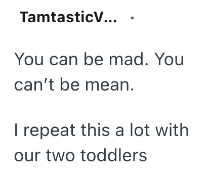 TamtasticV... You can be mad. You can't be mean. I repeat this a lot with our two toddlers
