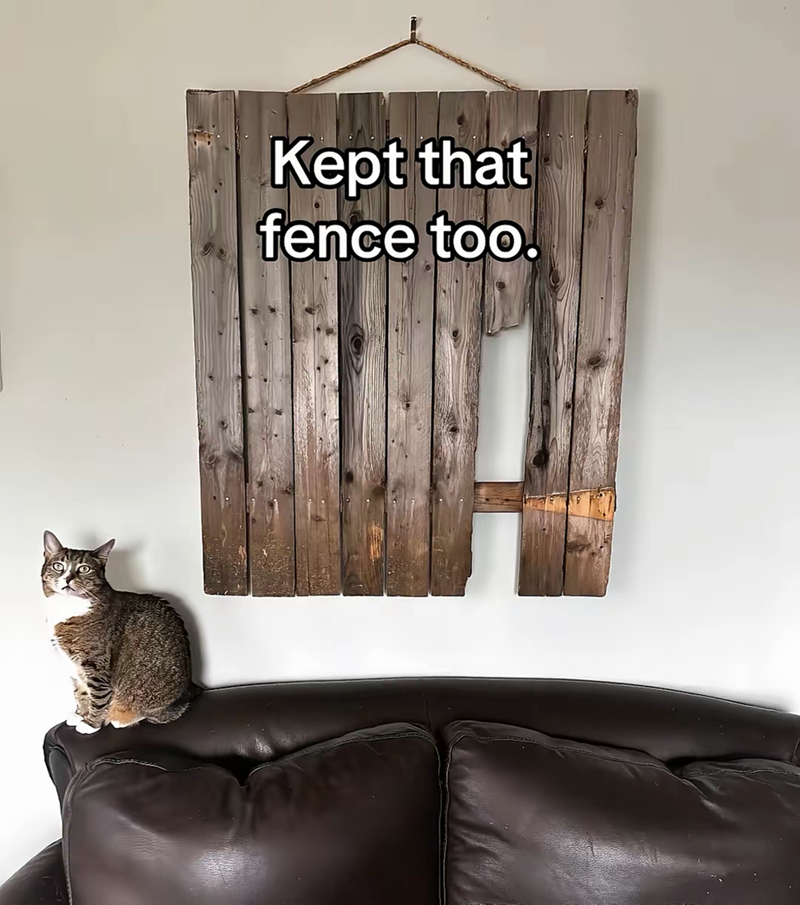 Kept that fence too.