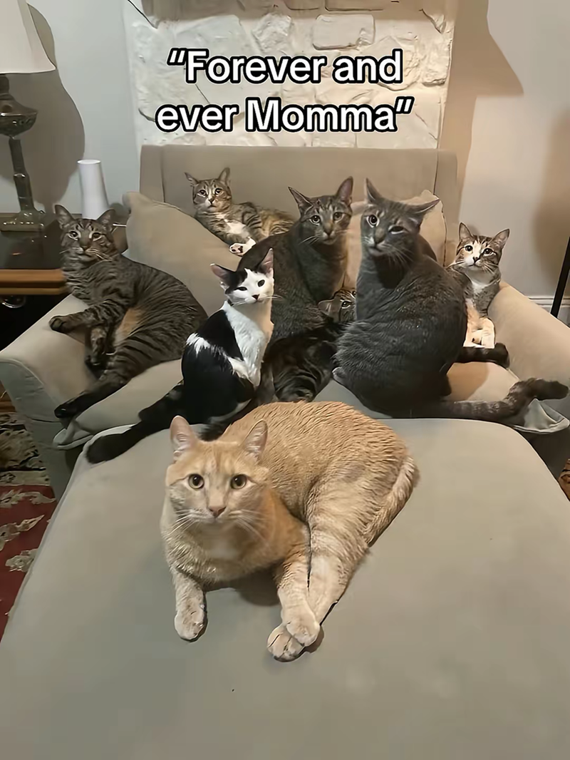 "Forever and ever Momma"