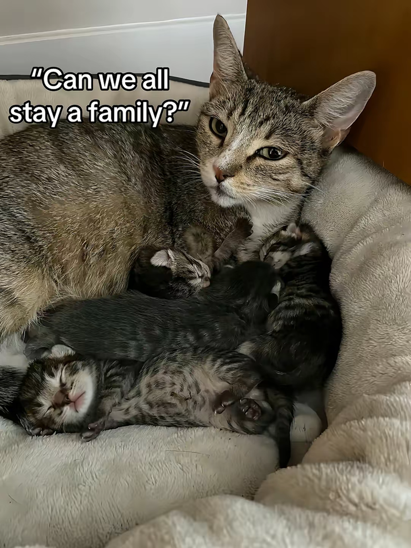 "Can we all stay a family?"