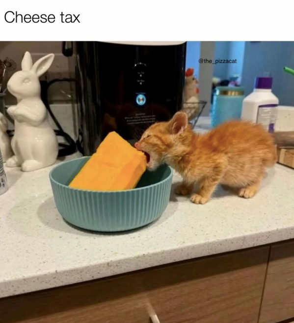 Cheese tax @the_pizzacat