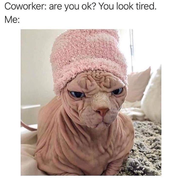 Coworker: are you ok? You look tired. Me: