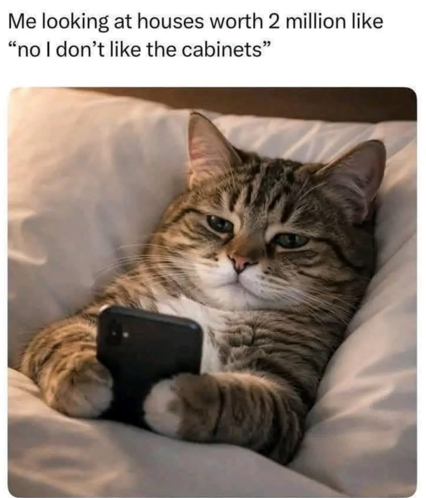 Me looking at houses worth 2 million like "no I don't like the cabinets"