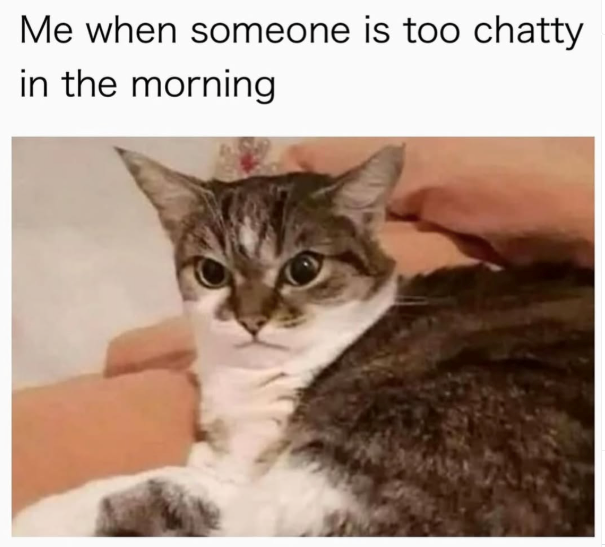 Me when someone is too chatty in the morning