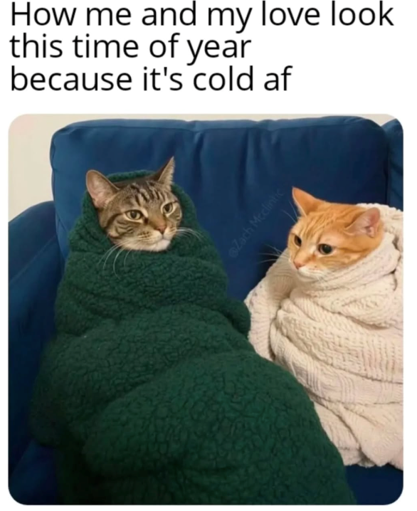 How me and my love look this time of year because it's cold af Zach Mcclintic