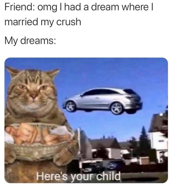 Friend: omg I had a dream where I married my crush My dreams: Shutte Ste Here's your child