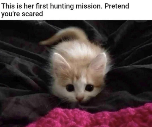 This is her first hunting mission. Pretend you're scared