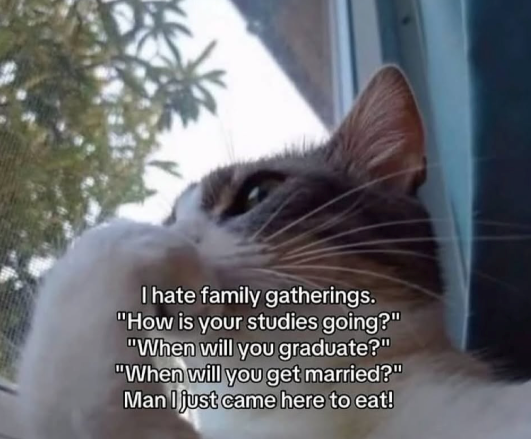 I hate family gatherings. "How is your studies going?" "When will you graduate?" "When will you get married?" Man I just came here to eat!