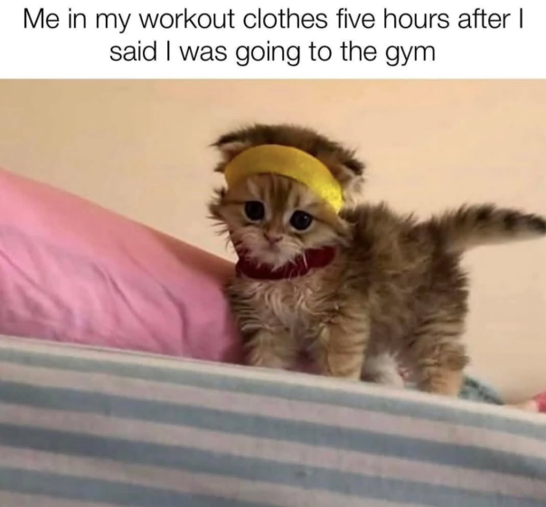 Me in my workout clothes five hours after I said I was going to the gym