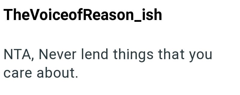 TheVoiceofReason_ish NTA, Never lend things that you care about.