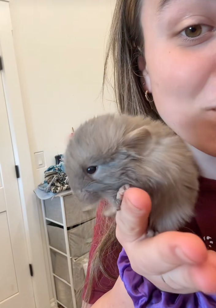 Cheezburger Image 10618296832