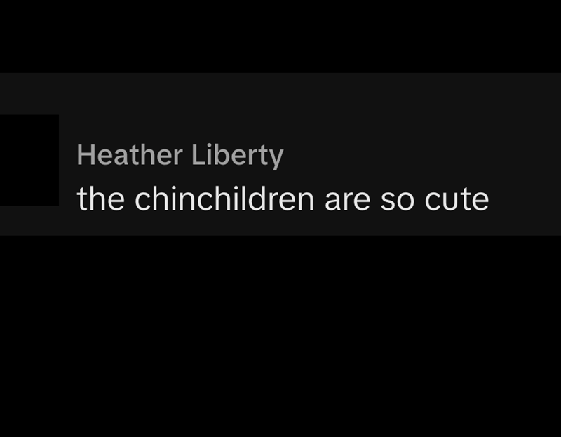 Heather Liberty the chinchildren are so cute