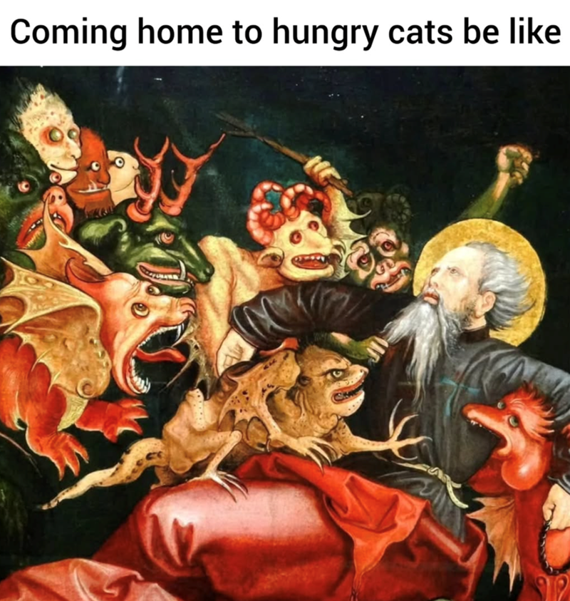 Coming home to hungry cats be like